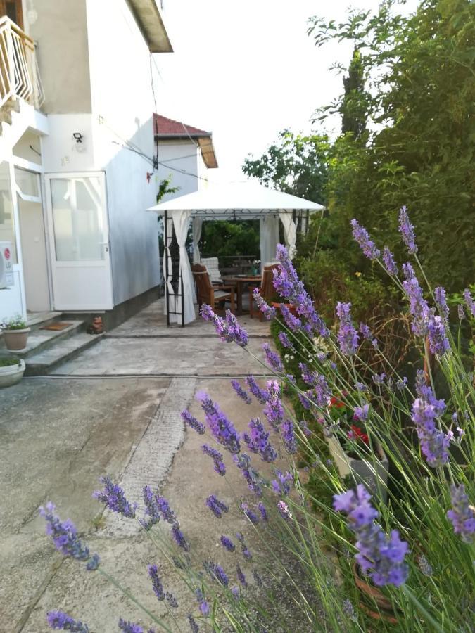 Lili Apartment In Zadar Pet Friendly, Free Parking Exterior photo